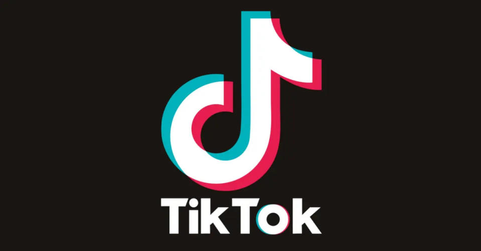 網紅哈米杜拉為了拍攝TikTok抖音影片，不幸發生意外。（圖／TikTok）