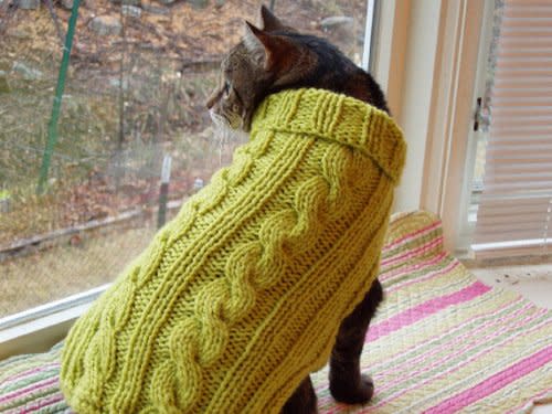 Cable-Knit Kitty