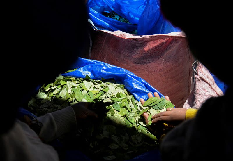 FILE PHOTO: Coca growers wait for customers during the reopening of the coca market of the Departmental Association of Coca Producers (ADEPCOCA), in La Paz