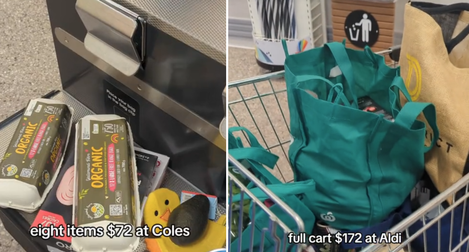 The Aussie shopper was horrified at the difference in price between a basket at Coles and full trolley at Aldi. Source: TikTok/alondra_g23_