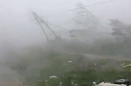 A strong wind blows trees and an electric pole during Cyclone Fani in Bhubaneswar, Odisha, India May 3, 2019 in this still image taken from a video obtained from social media. AMAN PRATAP SINGH/via REUTERS