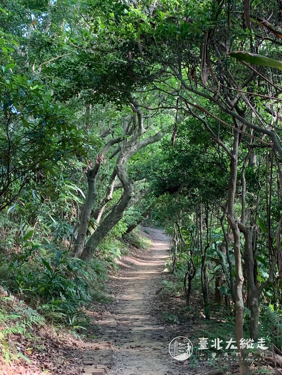 來趟臺北大縱走，走進山林的懷抱，感受沁心涼意。   圖：台北觀傳局／提供