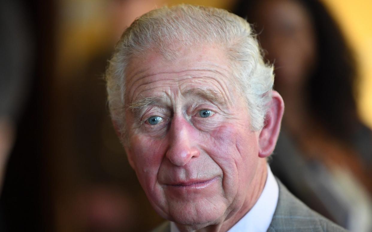 The Prince of Wales said in his first New Year message: 'We might take a moment to remember the many people around the world who are standing up for freedom and human rights' - Daniel Leal/Getty Images