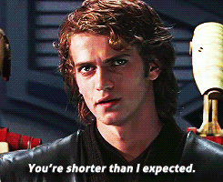 Anakin Skywalker saying "You're shorter than I expected"