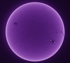 <p>The Sun photographed in Calcium-K light, depicting the star’s inner chromosphere. (Pic: Michael Wilkinson) </p>