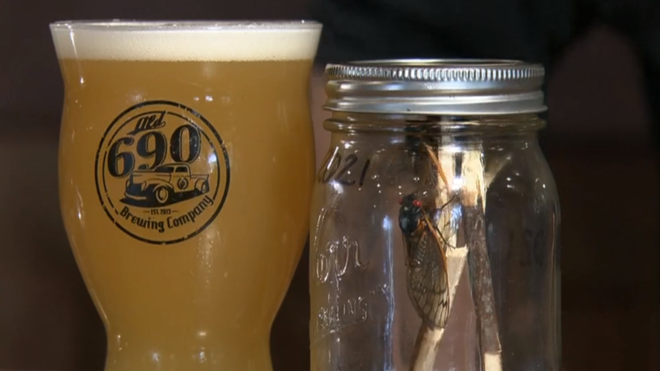 A brewery in Virginia created a cicada beer and named it Brewd-X.  / Credit: CBS News