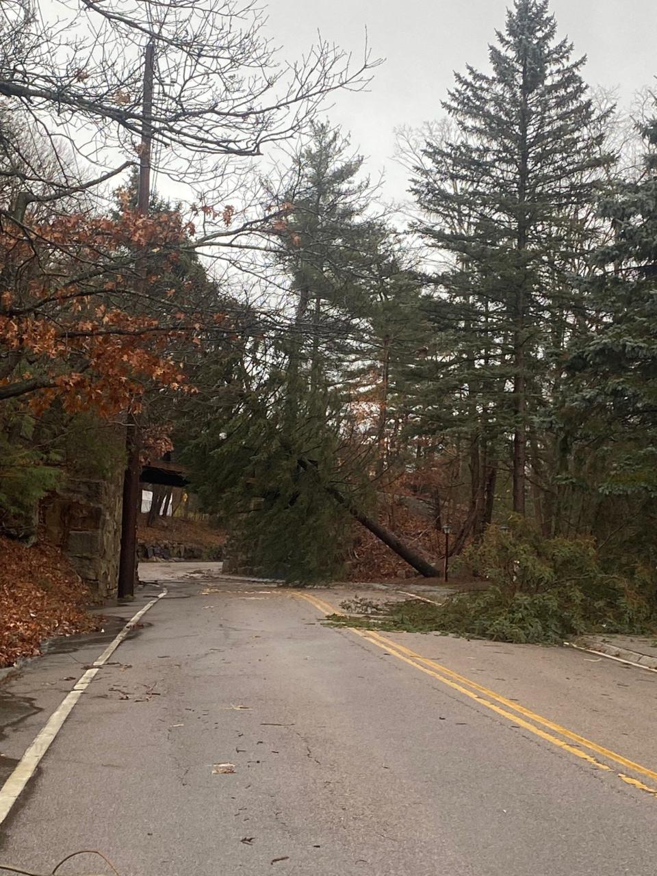 Canton storm damage