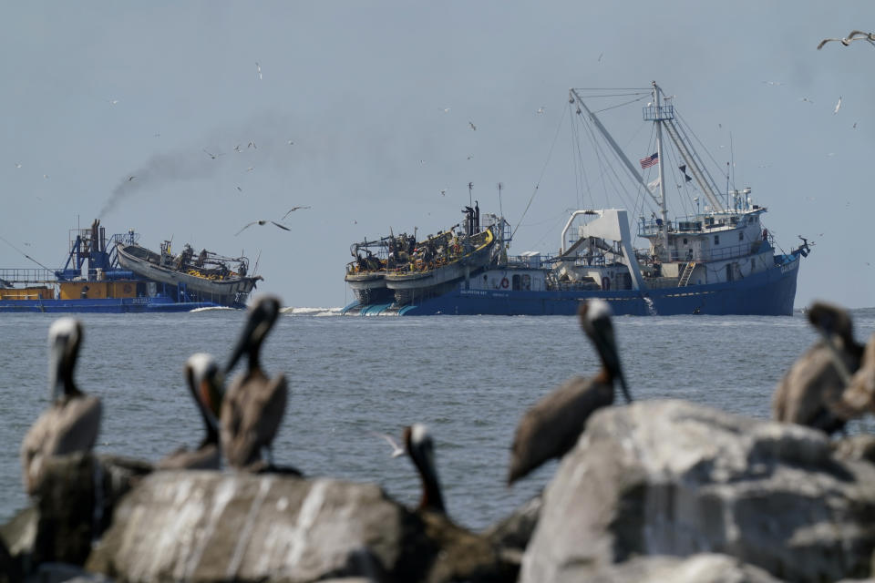 Brown pelicans loaf on revetments along the shore of Raccoon Island, while menhaden boats fish nearby, in Chauvin, La., Tuesday, May 17, 2022. (AP Photo/Gerald Herbert)