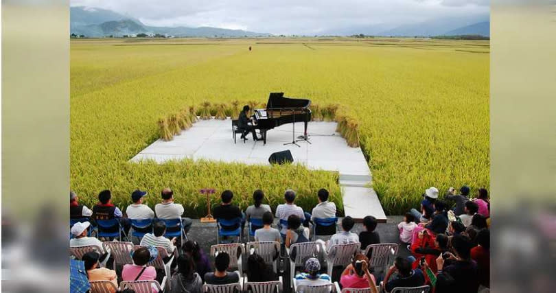 花東縱谷裡的池上鄉稻浪風景獨樹一格，鋼琴王子陳冠宇、雲門舞集都曾在此處演出。（圖／報系資料照）