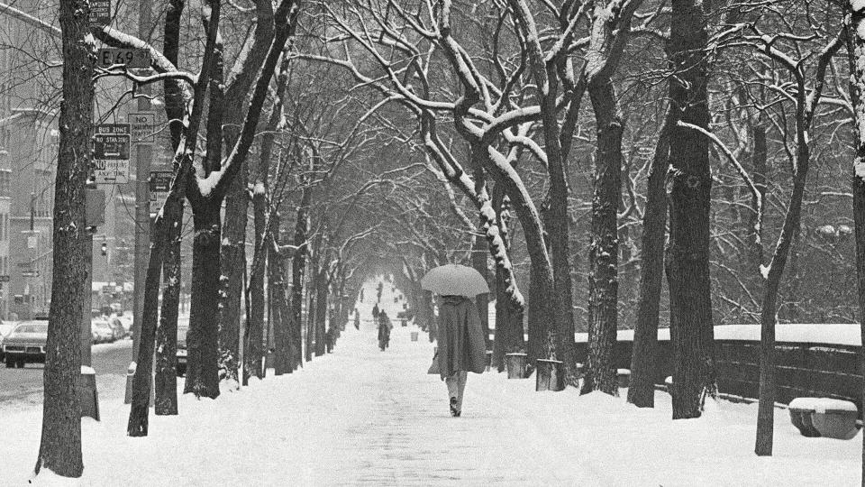 A woman uses her umbrella to ward off the snow as she walks down New York's Fifth Avenue under a canopy of snow-decorated trees, . Three inches of snow had fallen on the city by noon after months of unseasonably warm temperatures Winter Wonderland, New York, USA