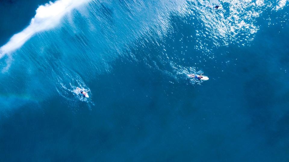 surfers on the water
