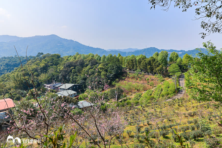 新北碧潭微笑山線一日遊