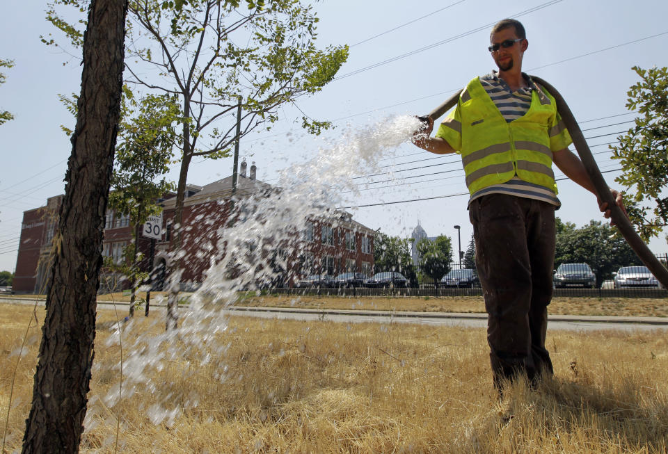 Jerome Delbridge of Keep Indianapolis Beautiful uses a fire hose to water trees along the interstate in downtown in Indianapolis, Thursday, June 28, 2012. Keep Indianapolis Beautiful is urging residents to water their trees as temperatures top 100 degrees in Central Indiana. (AP Photo/Michael Conroy)