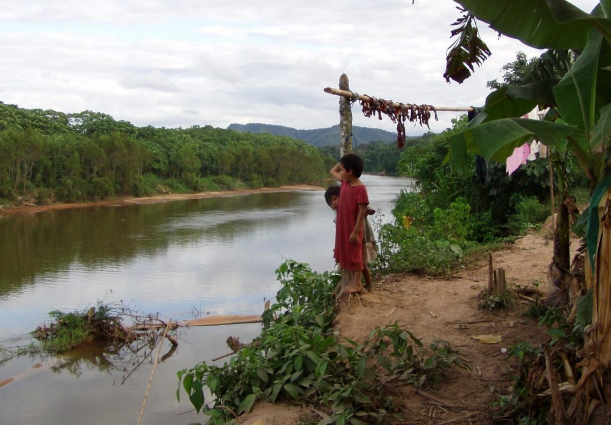 Tsimane children look out over the Maniqui River, in the Bolivian Amazon. Michael Gurven, <a href="http://creativecommons.org/licenses/by-nd/4.0/" rel="nofollow noopener" target="_blank" data-ylk="slk:CC BY-ND;elm:context_link;itc:0;sec:content-canvas" class="link ">CC BY-ND</a>