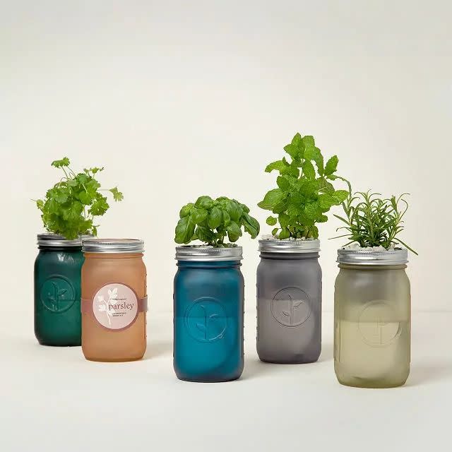 <p><a href="https://go.redirectingat.com?id=74968X1596630&url=https%3A%2F%2Fwww.uncommongoods.com%2Fproduct%2Fmason-jar-indoor-herb-garden&sref=https%3A%2F%2Fwww.thepioneerwoman.com%2Fholidays-celebrations%2Fgifts%2Fg42828178%2Fmothers-day-gifts%2F" rel="nofollow noopener" target="_blank" data-ylk="slk:Shop Now;elm:context_link;itc:0;sec:content-canvas" class="link ">Shop Now</a></p><p>Mason Jar Indoor Herb Garden</p><p>uncommongoods.com</p><p>$20.00</p><span class="copyright">Uncommon Goods</span>