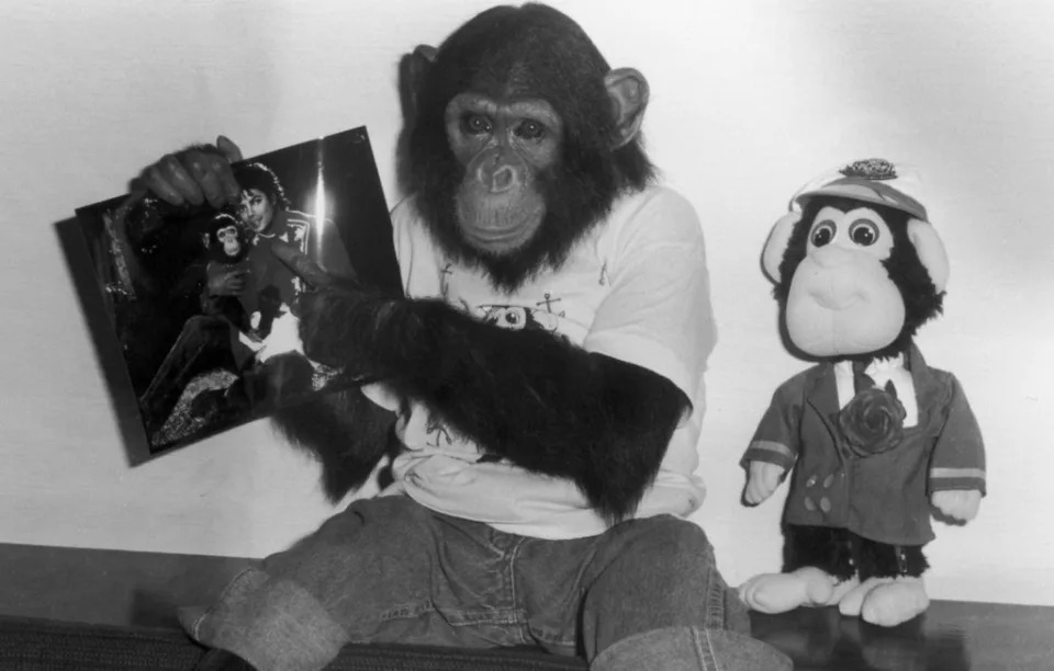 Bubbles pointing to a picture of himself with his world famous owner (Getty)