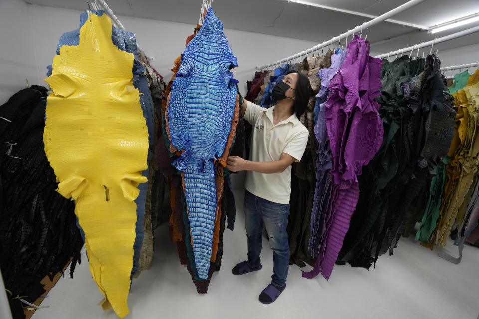 A worker checks treated dried skins of Siamese crocodiles at Siracha Moda Farm in Chonburi province, eastern Thailand on Nov. 7, 2022. Crocodile farmers in Thailand are suggesting a novel approach to saving the country’s dwindling number of endangered wild crocodiles. They want to relax regulations on cross-border trade of the reptiles and their parts to boost demand for products made from ones raised in captivity. (AP Photo/Sakchai Lalit)