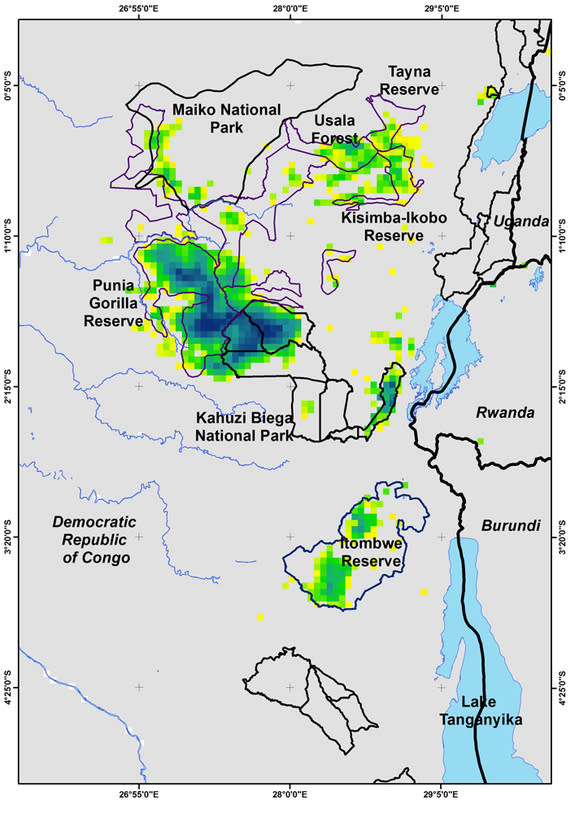 Four areas are now particularly crucial for survival of the Grauer's gorilla: Kahuzi-Biega National Park (center); the adjacent Punia Gorilla Reserve in the west, where the WCS is supporting gorilla conservation; the Itombwe massif south of Kah