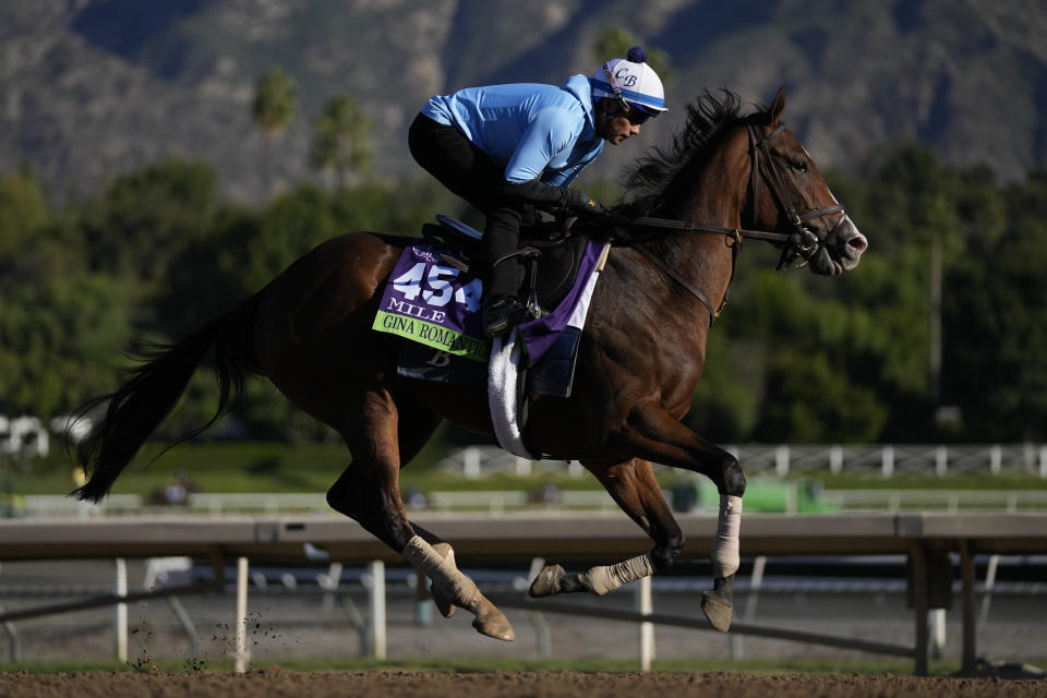 Gina Romantic works out ahead of the Breeders' Cup horse race Wednesday, Nov. 1, 2023, in Arcadia, Calif. (AP Photo/Ashley Landis)