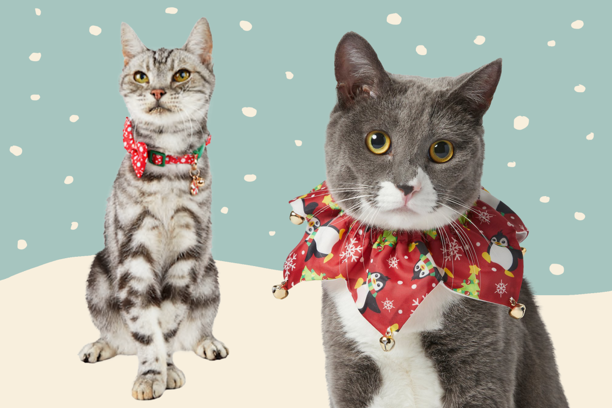 christmas cat collars