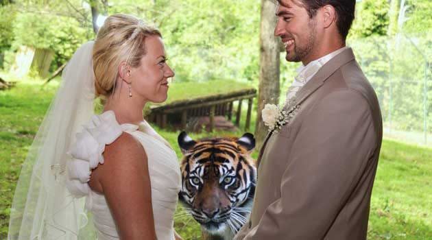 Karma and Andrew Madgwick welcomed an unexpected guest to their wedding. Photo: Vicki Boulter/Yahoo