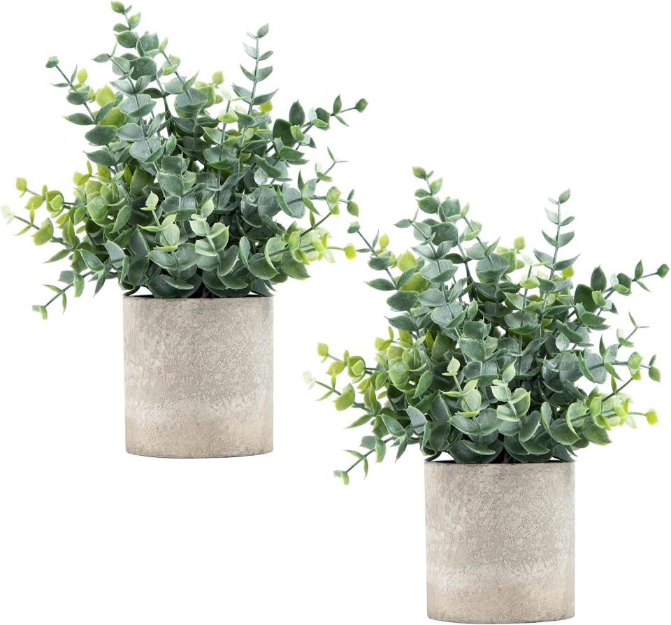 Coferset 2 Pack Small Fake Plants Eucalyptus (Photo: Amazon)