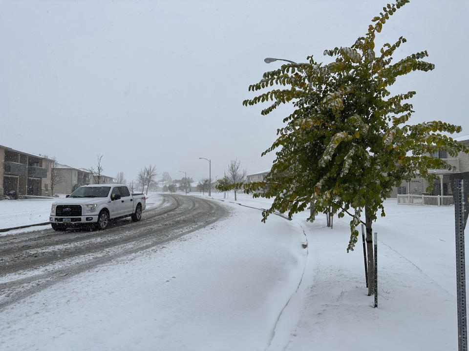 A truck drives past trees with green leaves as snow falls in Bismarck, N.D., on Thursday, Oct. 26, 2023. Snowy conditions were impacting roads across the state, with nearly a foot of snowfall in some areas. As much as 11 inches of snow fell near Stanley in northwestern North Dakota from an east-moving storm that hit the state in two waves, beginning Wednesday, Oct. 25. (AP Photo/Jack Dura)