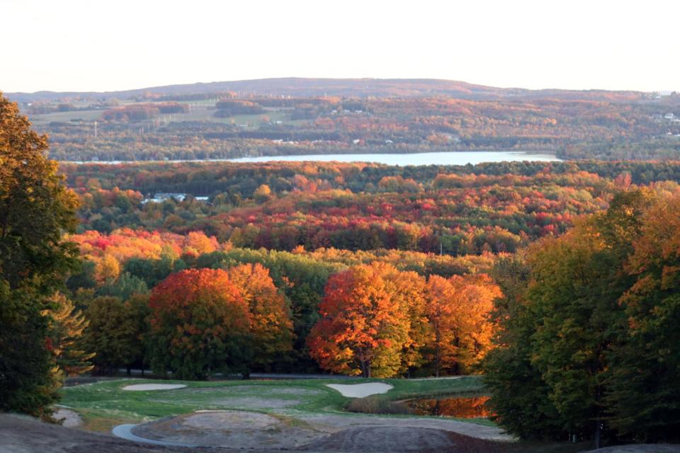 A scenic view from the Offield Family Viewlands Working Forest Reserve in Harbor Springs.