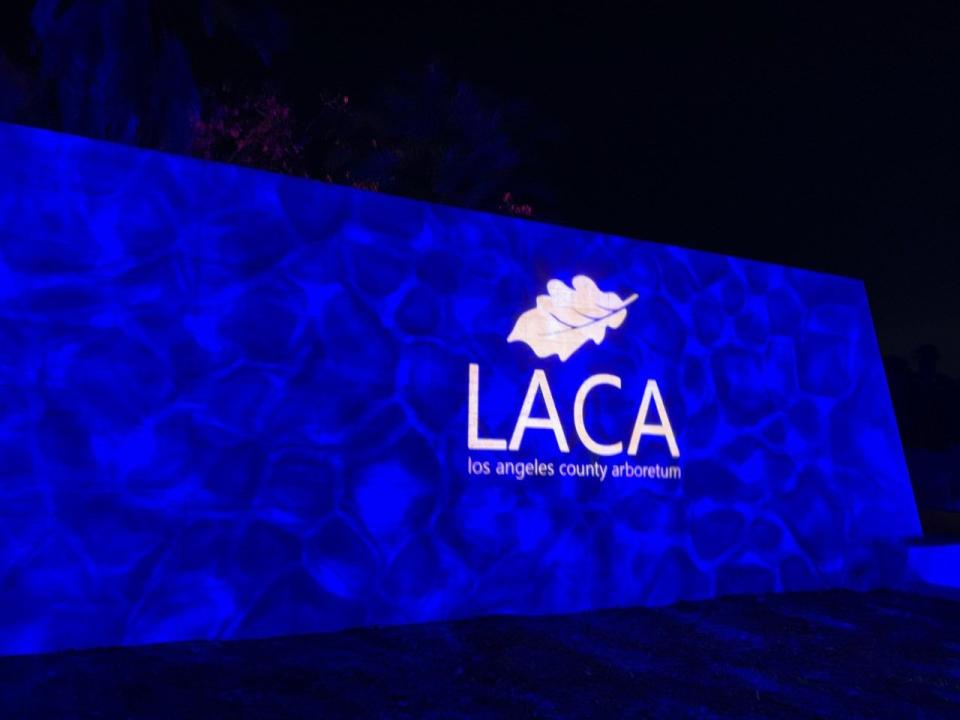 洛杉磯縣植物園（Los Angeles County Arboretum & Botanic Garden )將從即日起至明年1月2日舉辦為期數月的彩燈節（Lightscape）。（記者張宏／攝影）