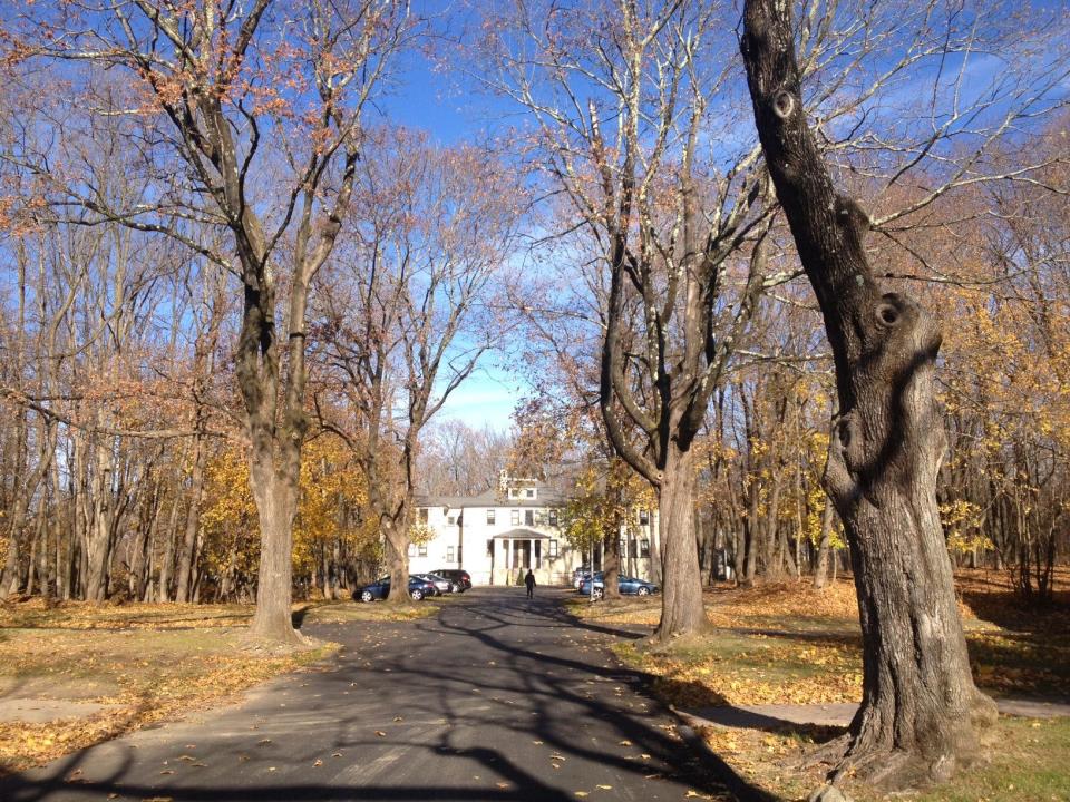 Cottages at the Pleasantville Cottage School, one of two residential treatment centers for troubled youth in the town of Mount Pleasant.