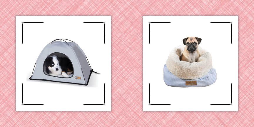 The Best Heated Dog Beds to Keep Man's Best Friend Toasty