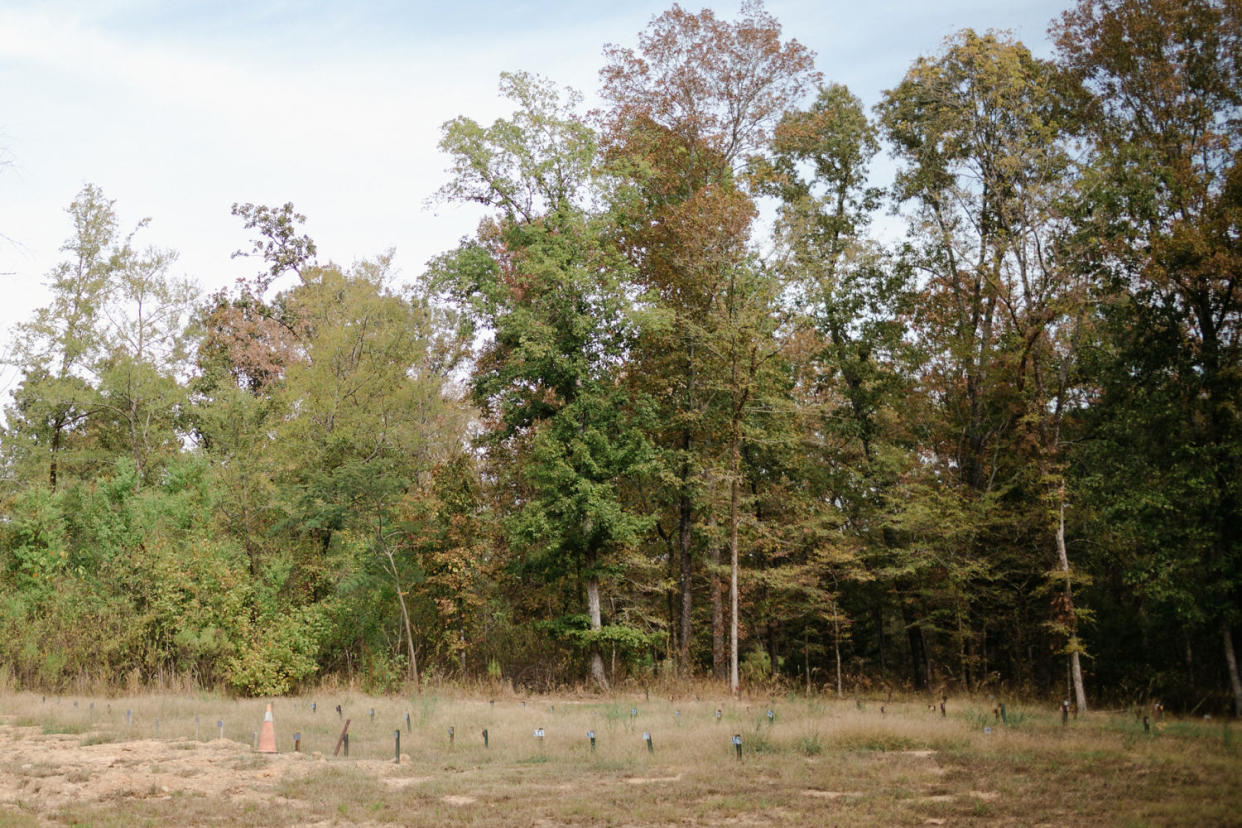 Image: Rows of burial markers. (Ashleigh Coleman for NBC News)