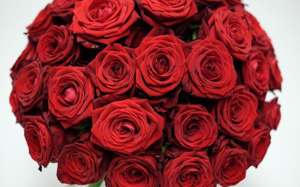 The ‘phenomenal’ bouquet consists of 999 long stem red roses (Orchidya London)