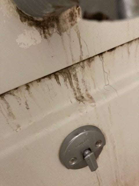 Mold in the bathroom tub after a week.