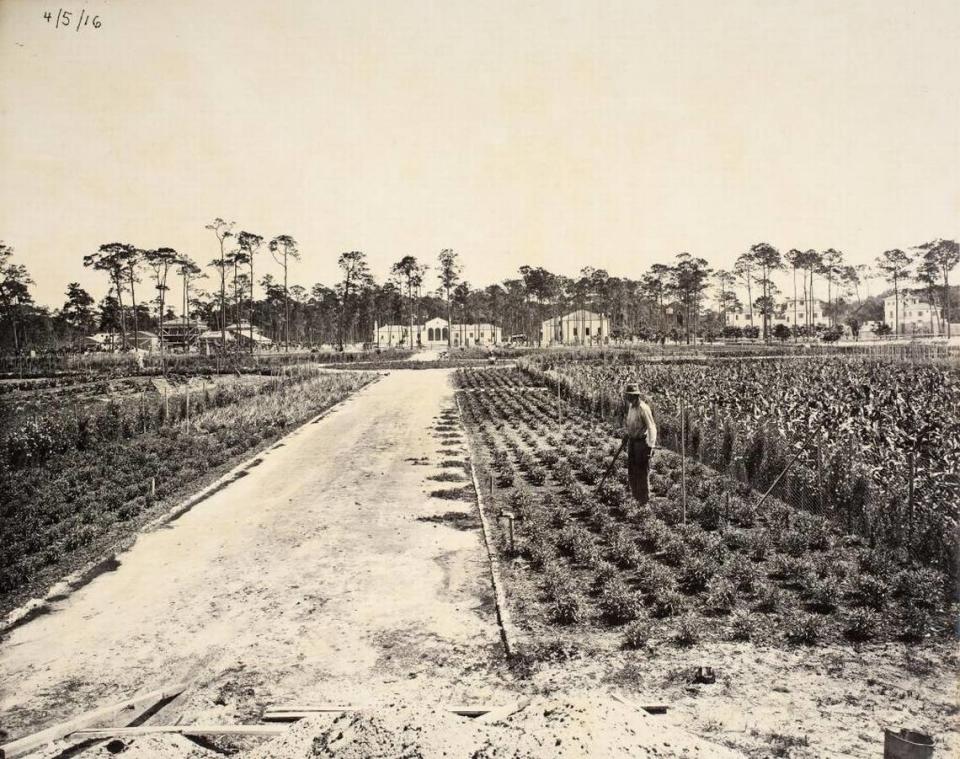 Una vista de 1916 de la granja de Vizcaya, con la casa del superintendente y los edificios de servicio al fondo. Los edificios permanecen, pero la granja fue sustituida por el edificio del museo de ciencias de Miami y la subdivisión de Bay Heights.