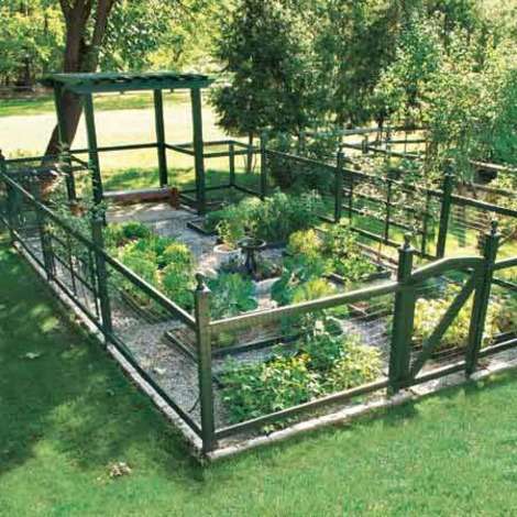 Vegetable gardens