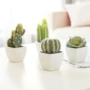<p>These cute little <span> My Gift Set of 4 Artificial Mini Succulent &amp; Cactus Plants </span> ($20) are perfect for lining up on a coffee table or an office desk. For this price, you'll be tempted to buy yourself a set too. </p>