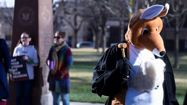 PHOTO: Jaime Cruz bangs a gavel in a kangaroo costume outside of the Federal Courthouse against Alliance for Hippocratic Medicine to pull mifepristone, a drug used in medication abortion, off the market in Amarillo, Texas, March 15, 2023. (Annie Rice/Reuters)