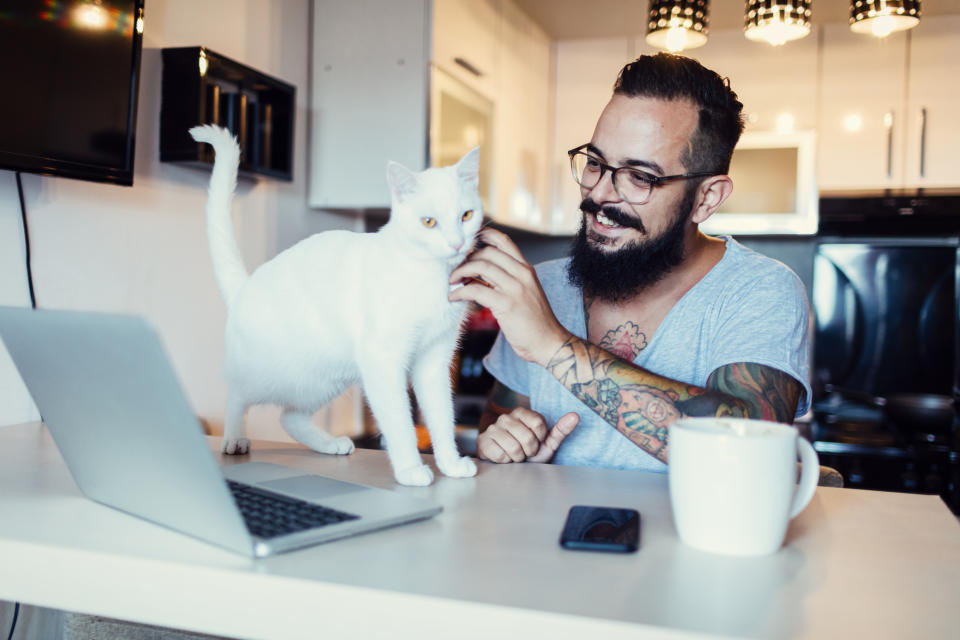 A new survey has revealed pets are helping to improve their owners morale while working from home. (Getty Images)