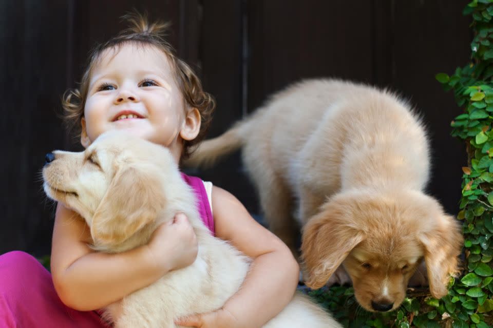 Never leave your dogs unattended with children. Photo: Getty