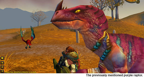 Hunter raptor pet