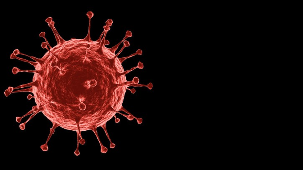 Ilustración de la estructura del coronavirus.