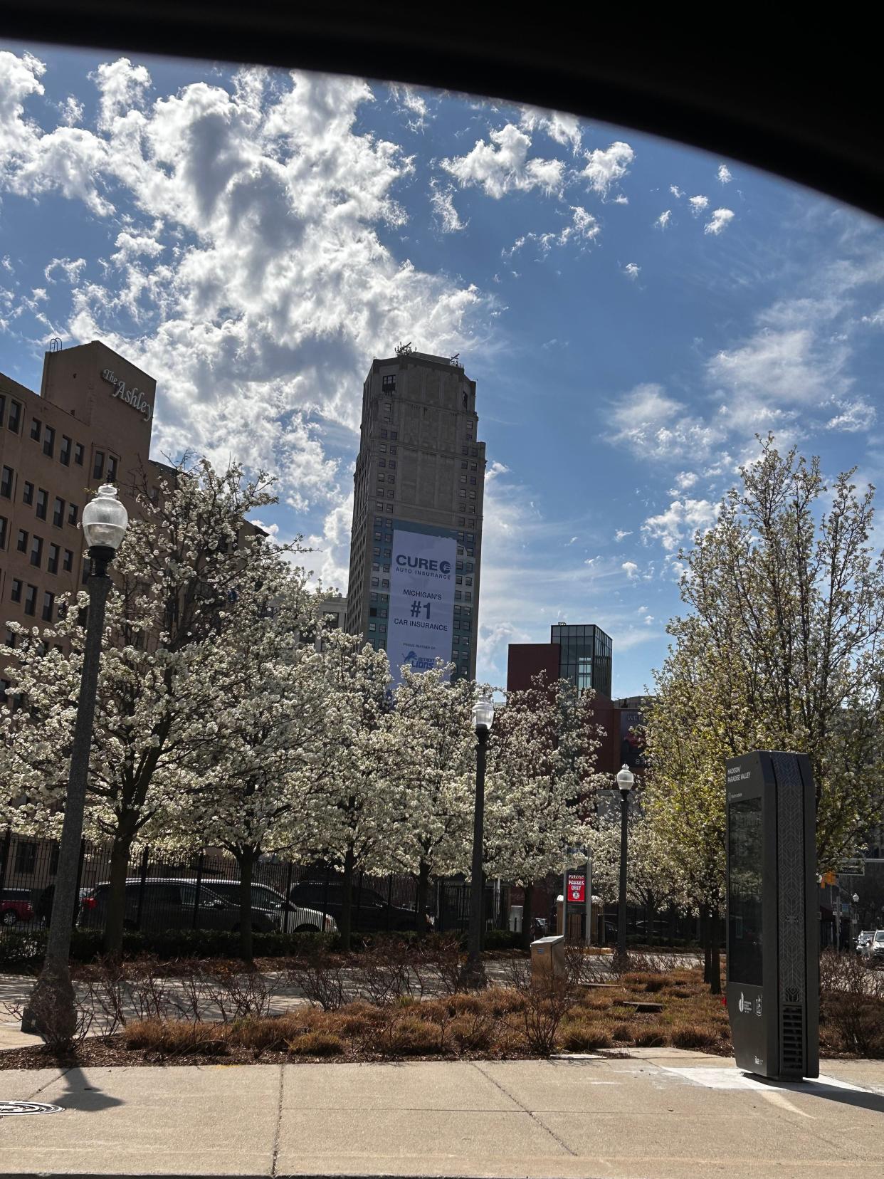 Comerica Park fans will now stare at a sign for Cure Auto Insurance as the advertisement appeared over the famous whale mural aside Broderick Tower this weekend.