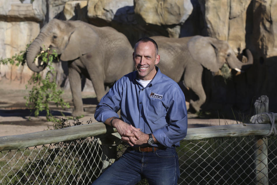 Jon Forrest Dohlin, the Chief Executive Officer and Fresno Chaffee Zoo Director, is shown near the open roaming area for two of the zoo's three elephants, Nolwazi and Amahle, in Fresno, Calif., Jan. 30, 2023. A community in the heart of California's farm belt has been drawn into a growing global debate over whether elephants should be in zoos. In recent years, some larger zoos have phased out elephant exhibits, but the Fresno Chaffee Zoo has gone in another direction, updating its Africa exhibit and collaborating with the Association of Zoos and Aquariums on breeding. (AP Photo/Gary Kazanjian)