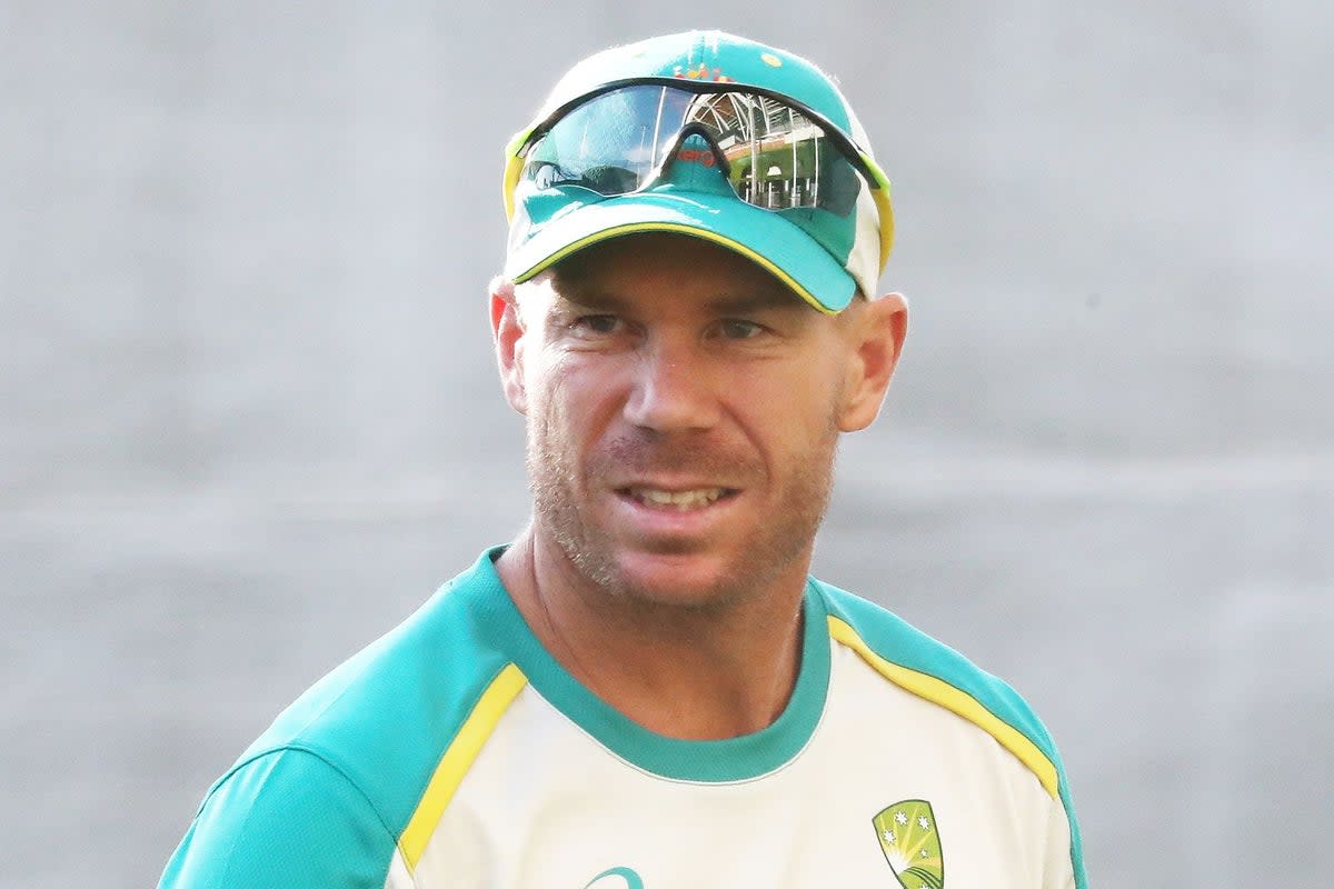 David Warner remains a regular in all three formats for Australia (Jason O’Brien/PA) (PA Archive)