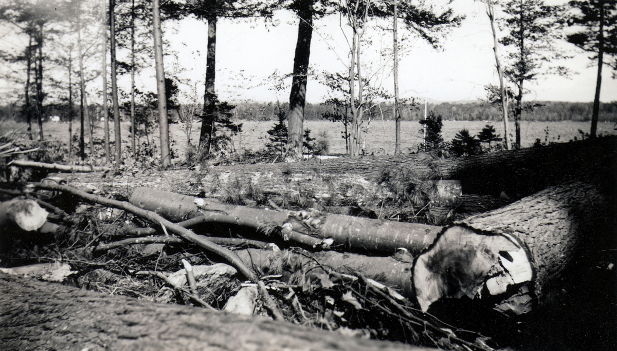 Damage Done in Wolfeboro, New Hampshire From the The Great New England Hurricane, 1938