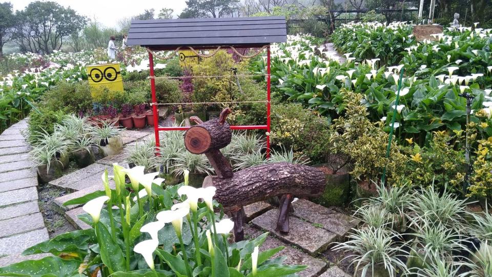 可愛的苗榜花園，有海芋以及可愛的木馬造景。   圖：台北市政府產業發展局/提供