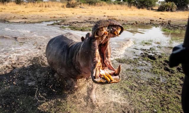 How to Prepare Your Home for Power Outages - Hippo