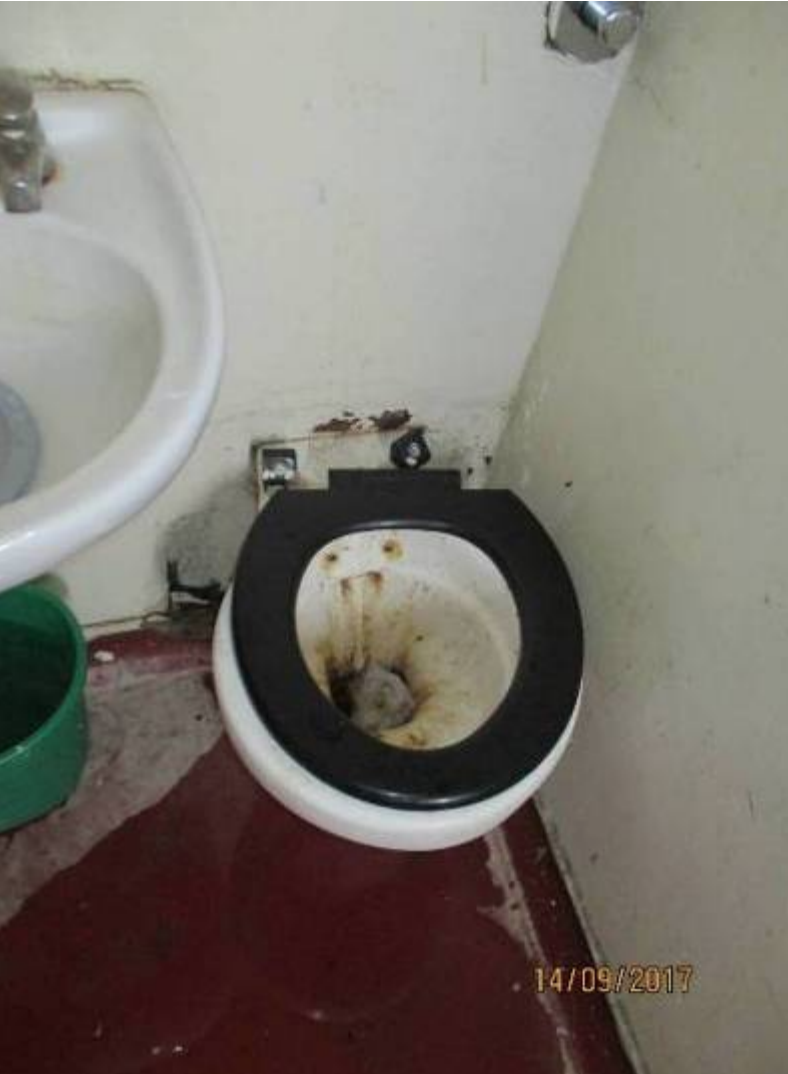 Disgusting toilets