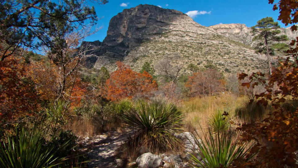 Guadalupe Mountains National Park | Texas